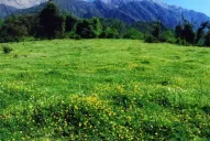 Reflotan el parque que soñó Miguel Lillo