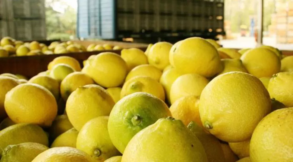 BIEN NUESTRO. Exportación de limón. FOTO ARCHIVO/ LA GACETA