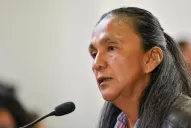 Horas clave para el futuro judicial de Milagro Sala