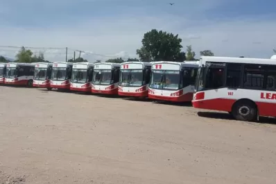 Una nueva empresa se hizo cargo de la línea 11