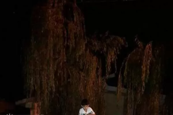 El acusado de matar a Paulina volvió a su casa