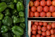 Consejos para evitar las enfermedades que transmiten los alimentos