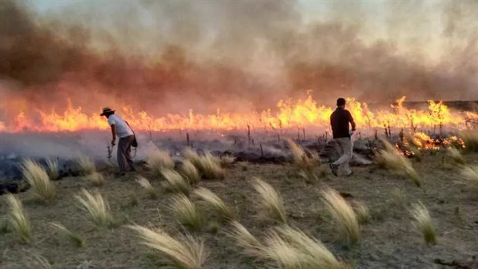 INFIERNO. El fuego arras campos en el sur bonaerense. FOTO DE SRA