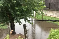 El temporal provocó la caída de árboles y destruyó tendido eléctrico en Tucumán