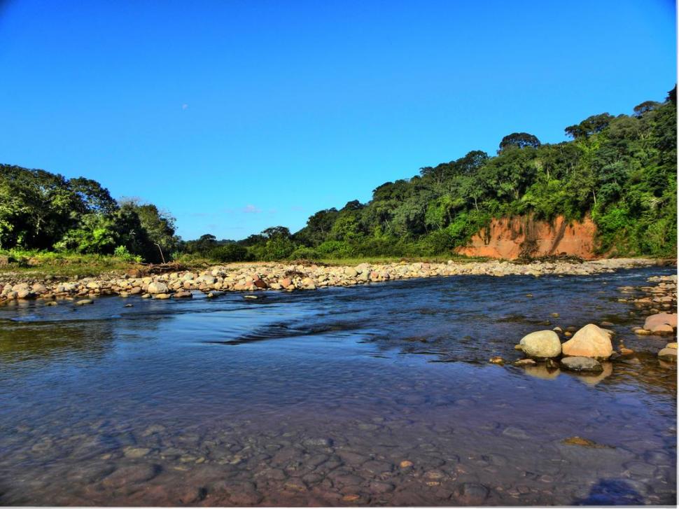 SALTA. Selva, ríos y lagunas del parque El Rey albergan una fauna increíble.  foto de turismoargentina.com.ar