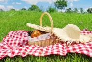 No sólo de sándwiches se alimenta un picnic
