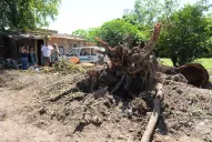 Video: así quedó la casa aplastada por el árbol en Yerba Buena