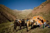 Podés cabalgar parte de la ruta que hizo San Martín
