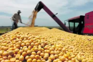 El Gobierno prorroga un beneficio fiscal para los productores de granos