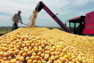 El Gobierno prorroga un beneficio fiscal para los productores de granos