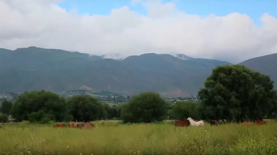 Video: las cabalgatas llevan a los paraísos escondidos de Tafí del Valle