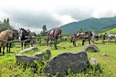 Una vida sana a donde vayas