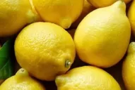 El freno de Trump al limón puede incidir en negociaciones con otros mercados externos