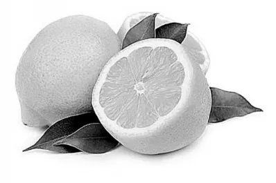 ›› Cartas de lectores