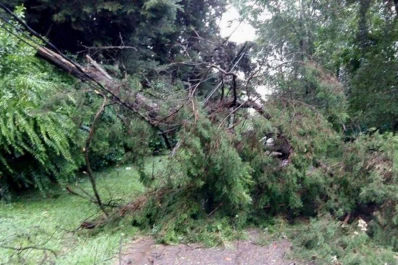 Una mujer y sus dos pequeñas hijas murieron al caer un árbol en Pilar