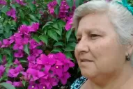 “La Justicia anda en tortuga, los delincuentes vienen en avión”