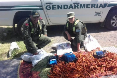 Investigan una banda de narcos colombianos