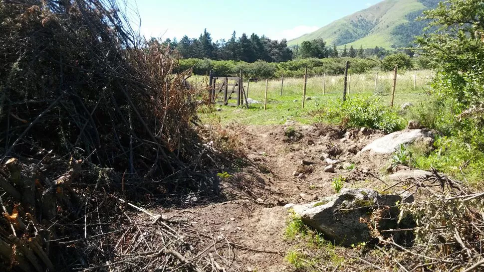 ASÍ LUCE EL LUGAR. Obreros talaron plantas y extrajeron piedras. 