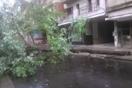 Daños en casas, caída de árboles y cortes de luz, las consecuencias de la tormenta