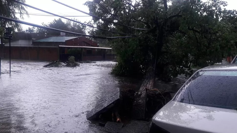 Video: el temporal provocó destrozos en Banda del Río Salí
