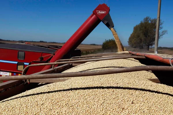 El Gobierno otorgará $1.000 millones en subsidios a los productores de soja del NOA