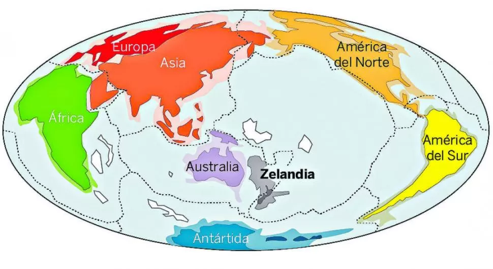 DIMENSIONES. Zealandia ocupa una superficie de 5 millones de kilómetros cuadrados contra los 8,5 de Oceanía.  