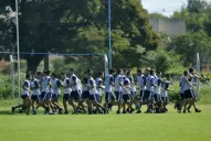 El horizonte “decano”