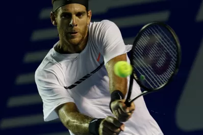 Djokovic le puso un freno a Del Potro en Acapulco