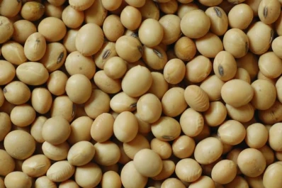 La Argentina presidirá, hasta 2018, el  Sistema de Información de Mercados Agrícolas