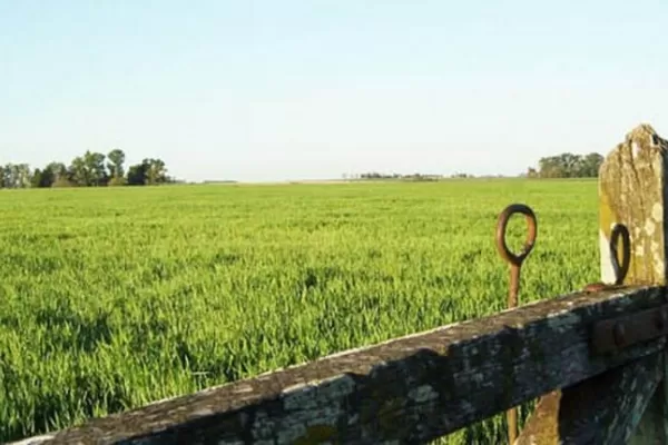 Las economías regionales están colapsadas