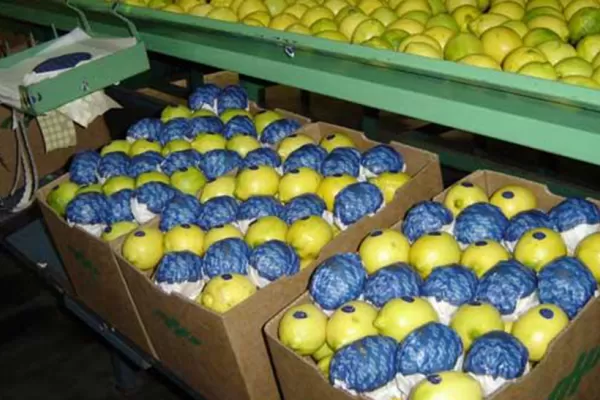 El Gobierno nacional confía en que el limón finalmente entrará a Estados Unidos