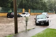 La tormenta se llevó los autos de los docentes de la escuela García Hamilton