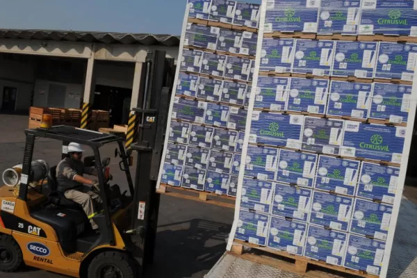 El limón tendrá que esperar que EEUU se decida