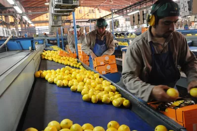 El ingreso del limón a Estados Unidos se prorrogará por 60 o 90 días, según Manzur