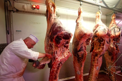 El Senasa incrementará los controles de las mercaderías brasileñas de origen cárnico