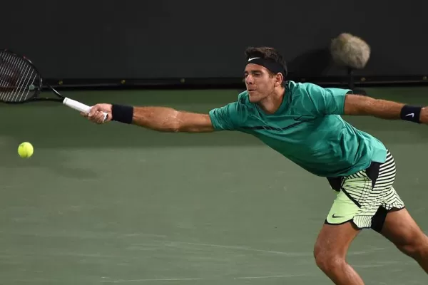 Del Potro superó a Haase y ahora va por Federer