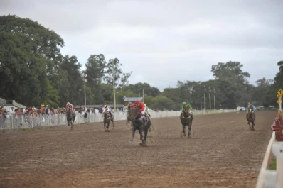 Bien conducido por el aprendiz Gonzalo Acosta, Wave Sam ganó la central