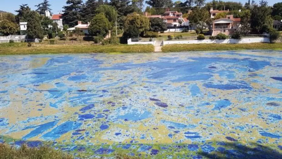El olor de algas podridas contamina Villa Carlos Paz y los vecinos viven encerrados