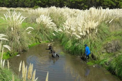 Lo atraparon cuando intentaba robar y lo denunciaron por abuso sexual
