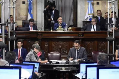 Por unanimidad, el Senado legalizó el cannabis medicinal