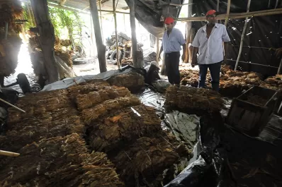 Producciones bajo el agua: “la ayuda debe ser para los minifundios”