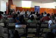 Alerta al detectar la polilla de la vid en zonas viñateras de Cafayate