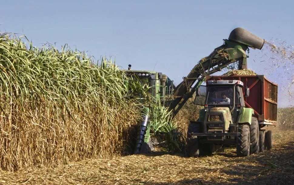 AVANZANDO. La cosecha mecanizada es una de las tareas a campo que más evolucionó en los últimos años, incorporando moderna tecnología.   