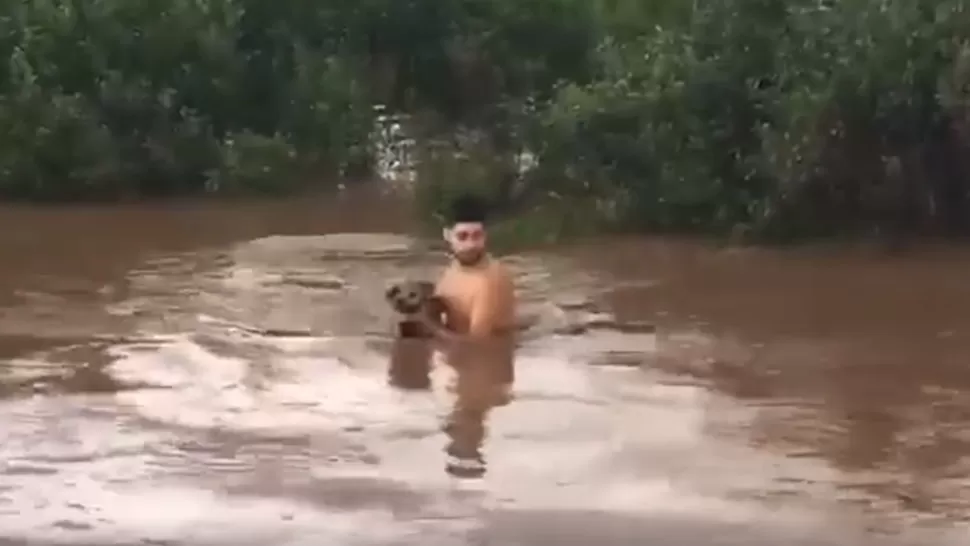 EN RESCATE. El joven cruzó el agua que desbordó del río para llegar al perro. CAPTURA DE VIDEO