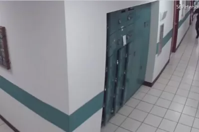 Video: un policía huyó despavorido tras cruzarse con un ratoncito