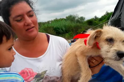 Asisten a las mascotas que sufrieron las consecuencias de las inundaciones en el sur