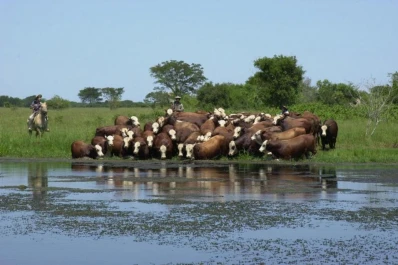 Cómo proceder en un campo inundado