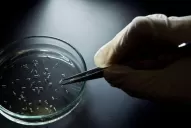 Las consecuencias del zika pueden minar décadas de desarrollo social