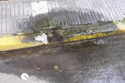 Por toda la ciudad, caños rotos dejan charcos en las veredas