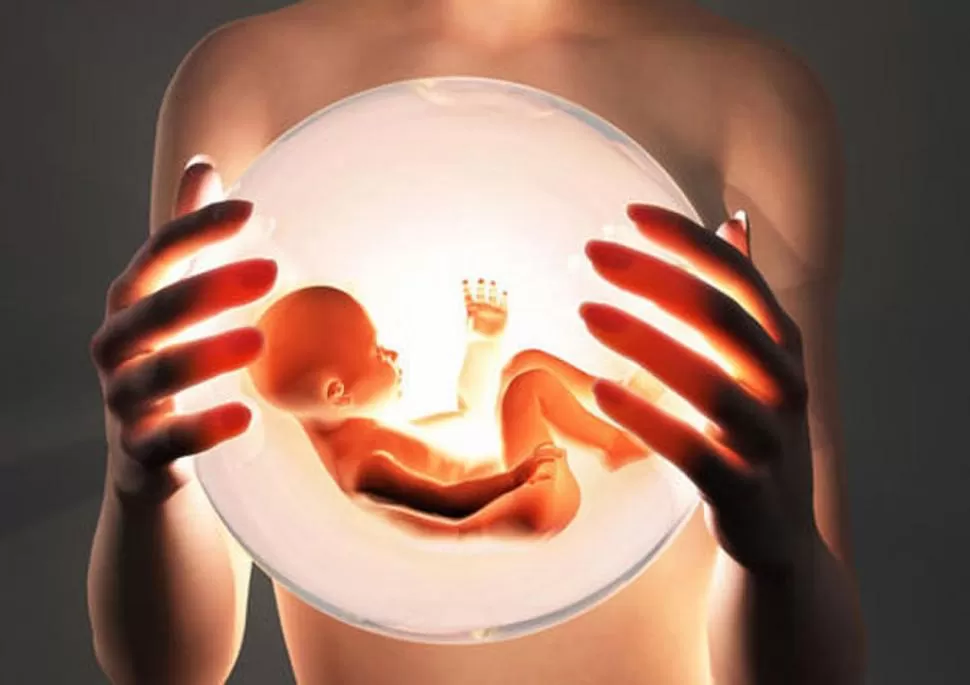 VIDA. El feto puede sobrevivir fuera de la madre a partir de las 22 semanas, lo difícil son las etapas iniciales.  